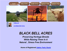 Tablet Screenshot of blackbellacres.com